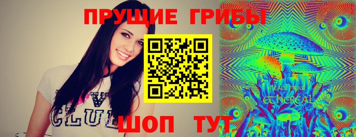 Похвистнево  Псилоцибиновые грибы Psilocybine cubensis  Вход с VPN 